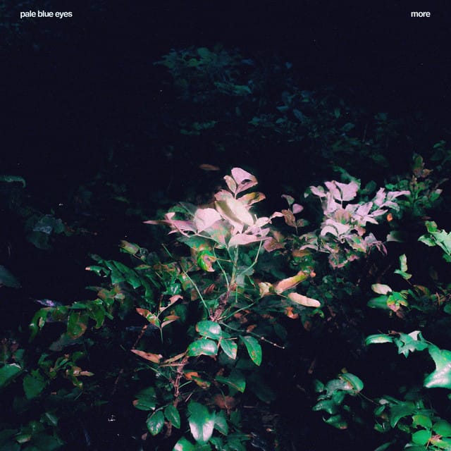 More (Edit) song by Pale Blue Eyes