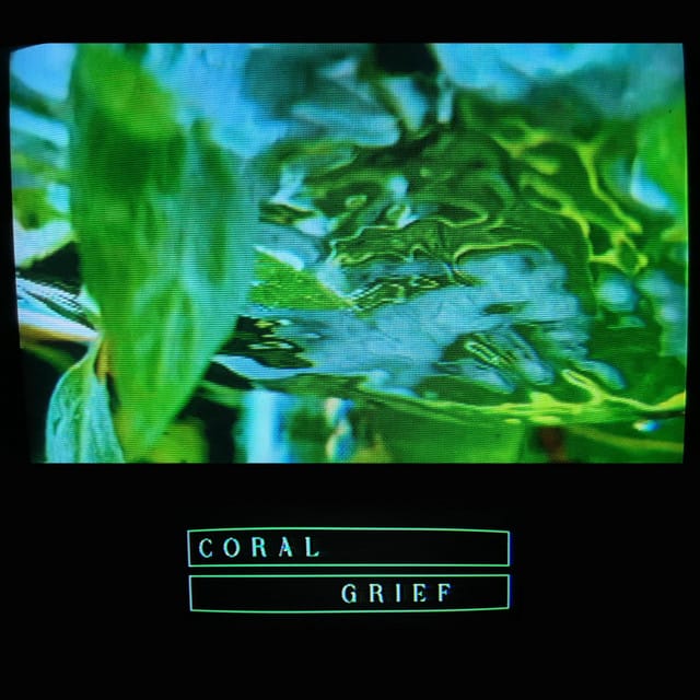 Crumble song by Coral Grief