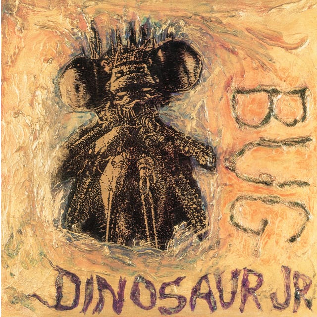 No Bones song by Dinosaur Jr