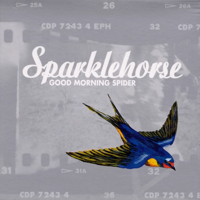Hey, Joe song by Sparklehorse