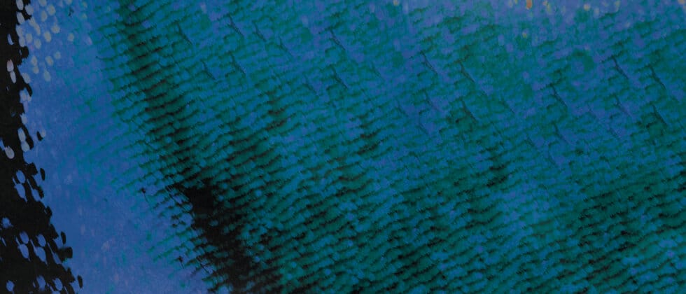 Preoccupations