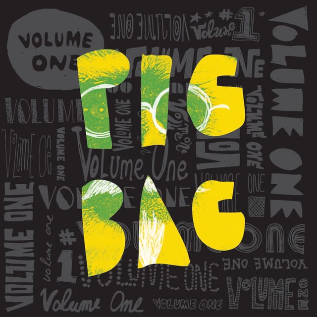 Papas Got a Brand New Pigbag song by Pigbag