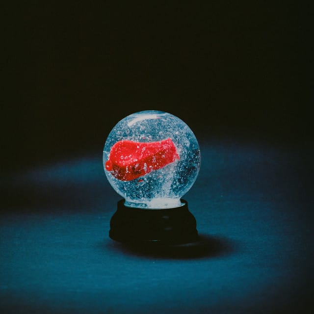 S.N.C. song by DARKSIDE