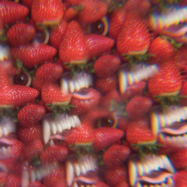 I Come from the Mountain song by Thee Oh Sees