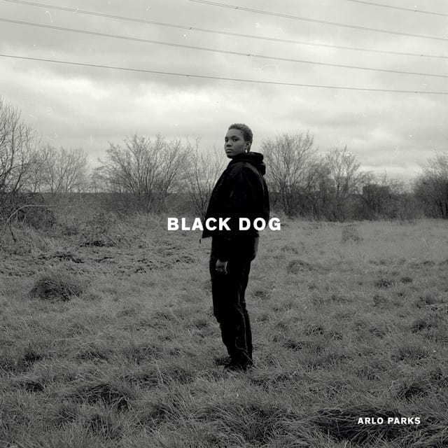 Black Dog song by Arlo Parks