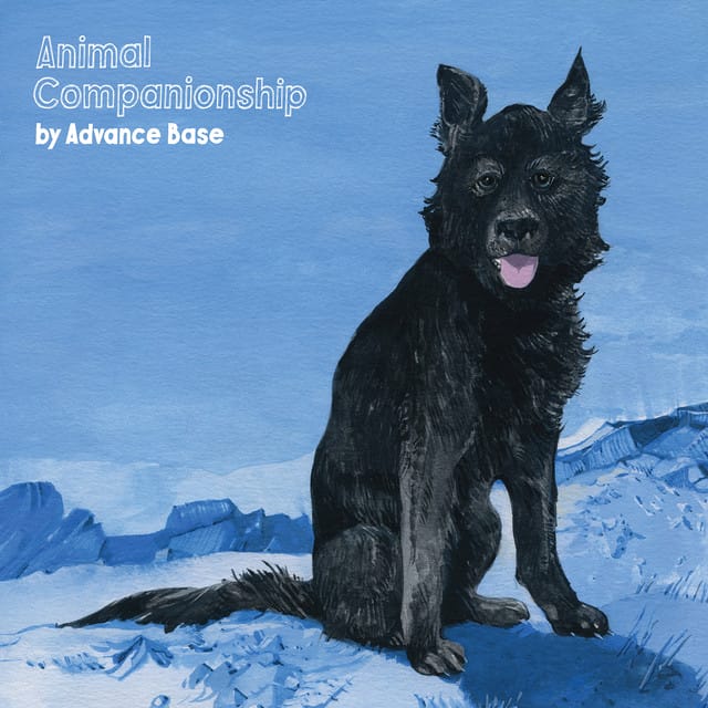 Your Dog song by Advance Base